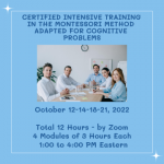 Alzheimer Training - Montessori Method